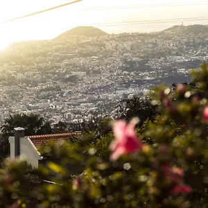 Hortensia Gardens Funchal (Madeira)